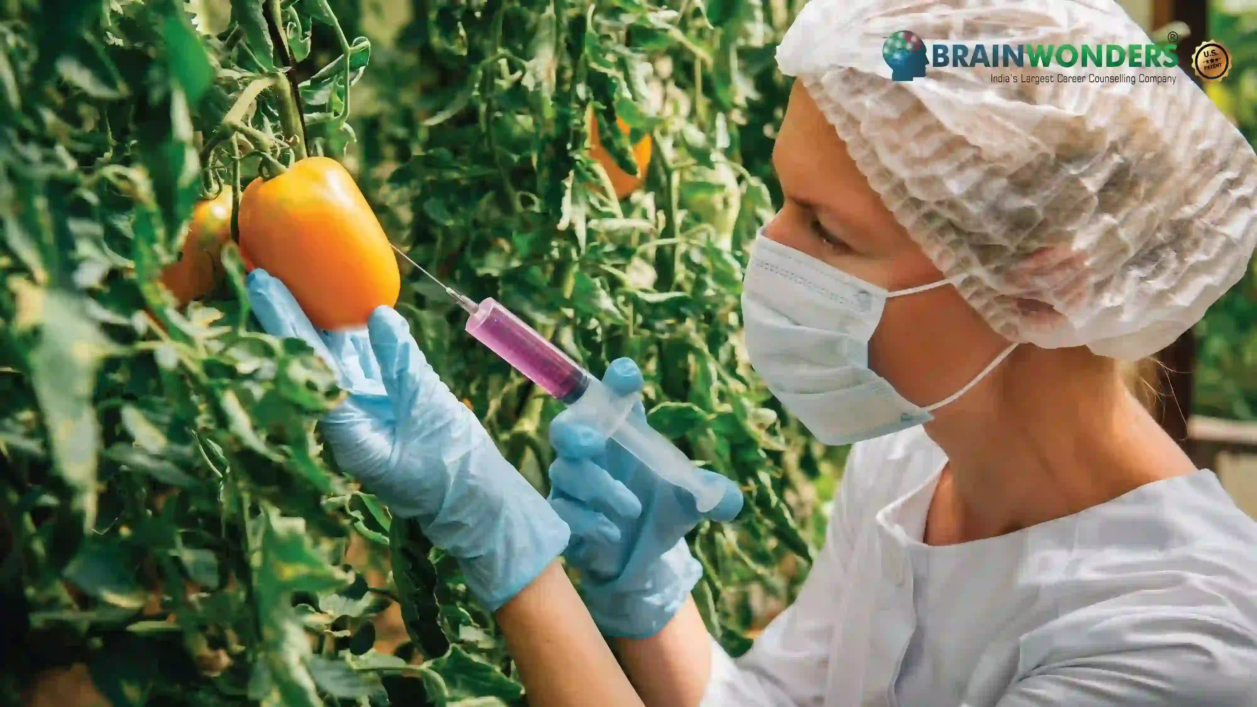 What Does a Food Science Engineer Do? , How To Become An Food Science Engineer - TheCareerHub